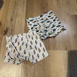 Kids Dinosaur and Lightning Organic Hanna Anderson Briefs